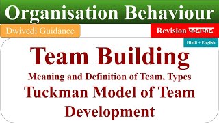 Team Building in organisational behaviour Tuckman Model of Team Development process of team build [upl. by Aym967]