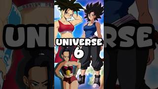 The Mysterious Saiyans of Universe 6 [upl. by Demy506]