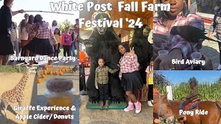 OMG THIS FALL FESTIVAL IS A MUST WHITE POST FARMS l NYC [upl. by Pickett]