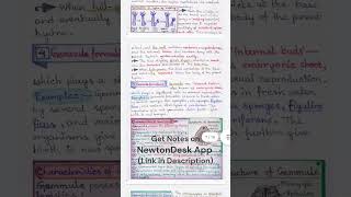 Reproduction Class 12  Biology Handwritten Notes for NEET 📚✌️ Shorts  shorts biology notes [upl. by Rednas]