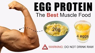 5 Reasons Eggs Are The Best Muscle Building Food 10 Scientific Studies [upl. by Ahseral252]