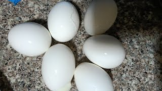 🔥🔥🔥 hot chicken eggs  peeling  ASMR  chicken eggs 🥚🥚 [upl. by Yanarp]