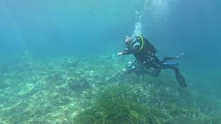 Xlendi Bay scuba diving [upl. by Halford]