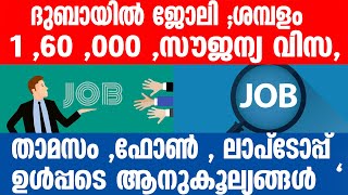 Dubai അപേക്ഷിക്കേണ്ടത് ഇങ്ങനെ [upl. by Airenahs]