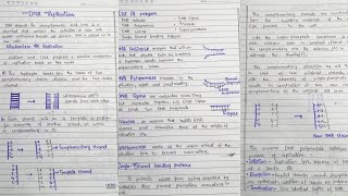 Replication of DNA DNA Structure Enzymes involved in DNA replication in hindi [upl. by Nirual888]