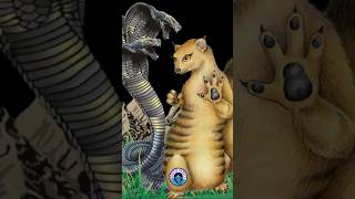 Why Mongooses Fearlessly Face Cobras 🐍 Beastie Beasts shorts [upl. by Illak]