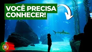 O Oceanário de Lisboa é um verdadeiro tesouro para os amantes da vida marinha [upl. by Clotilda]