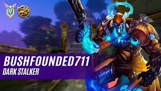 BushFounded711 ANDROXUS PALADINS COMPETITIVE MASTER DARK STALKER [upl. by Ssepmet]