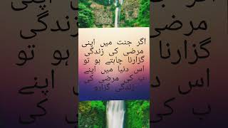 Inspirational Quiotes in urdu Motivation Quiote Shortfeed Youtubeshorts trending [upl. by Ahsinaw]