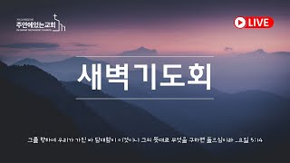 주안에있는교회 주일 2부ㅣ사도행전 강해28 떠나기 위해 필요한 것ㅣ사도행전 141928ㅣ정한영 목사 [upl. by Ellwood966]