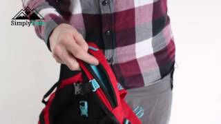 Dakine Heli Pro DLX 20L ThreeDee  wwwsimplypistecom [upl. by Greenebaum]