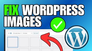 FIX WordPress Images Not Showing in Media Library [upl. by Zosi]