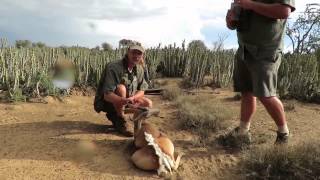 Hunting in Africa Black Springbuck [upl. by Lyman]