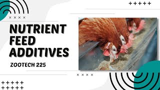 POULTRY 1  Poultry Nutrition Nutrient Feed Additives  Module 206 Student Output [upl. by Jefferey]