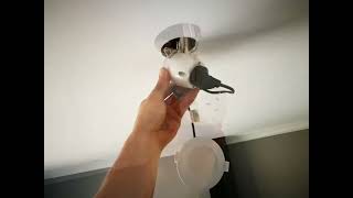 LED Downlight installation and replacement [upl. by Bravin628]