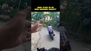 Snake Attack On R15 Rider Dangerous Snake 🤬🤬 youtubeshorts shorts trendingshorts [upl. by Mckenna]