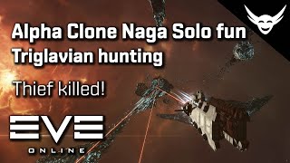 EVE Online  Naga solo Triglav hunting with Thieves [upl. by Emolas241]