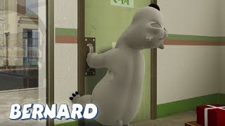 Bernard Bear  Doors AND MORE  45 min Compilation  Cartoons for Children [upl. by Aihsel]