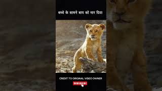 The lion king movie explained in hindi shorts [upl. by Krahmer408]