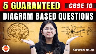 5 Most Important PYQ DIAGRAM QUESTIONS from Class 10 Biology for CBSE Board 2024 💯 Science [upl. by Kameko]