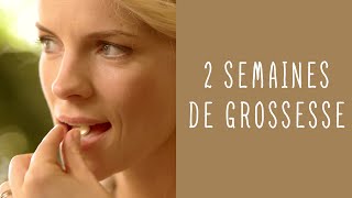 2 semaines de grossesse [upl. by Amrita]