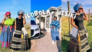 Lobola negotiations uTsiki  two families  different locations  I Manifested this  EC  Xhosa [upl. by Nylave]