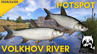 Asp Hotspot Volkhov River Russian Fishing 4 [upl. by Eeleimaj]