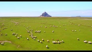 Entreprise drone France  Mont St Michel Drone [upl. by Duff]