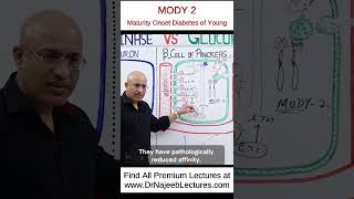 MODY 2  Maturity Onset Diabetes of Young drnajeeb drnajeeblectures shortvideo youtubeshorts [upl. by Seuguh]