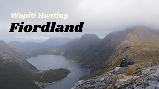 Wapiti Hunting Fiordland NZ [upl. by Nnasor]