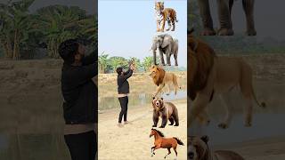 Wild Animals To Wild Animals Name Talking shorts mmmrazz funny comedy [upl. by Fonda]