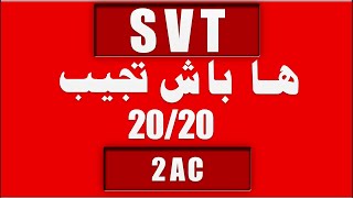 طريقة باش تجيب 2020 في علوم الحياة و الأر ض [upl. by Riccardo]