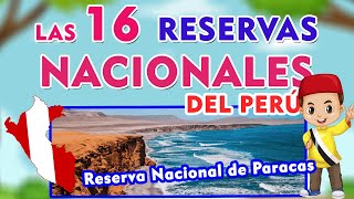 Las 16 Reservas Nacionales Del Perú I ÁREAS PROTEGIDAS DEL PERÚ I 16 RESERVAS NACIONALES [upl. by Costanzia]