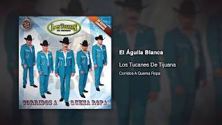 El Águila Blanca  Los Tucanes De Tijuana Audio Oficial [upl. by Nagy]