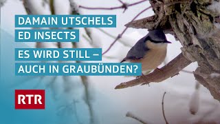 I vegn quiet  Weniger Vögel und Insekten auch in Graubünden  Dok  Cuntrasts  RTR Films [upl. by Nonie166]