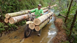 Dangerous Method They Use to Transport Gigantic Logs in Forest [upl. by Fink]