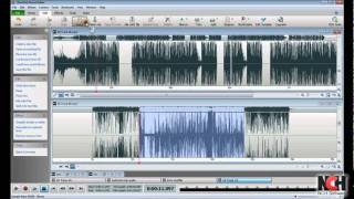 WavePad Audio Editing Software  Intro to Editing [upl. by Goraud]