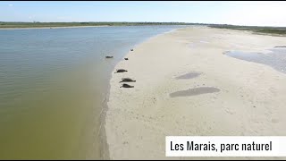 CarentanlesMarais porte du Cotentin [upl. by Relyuhcs]