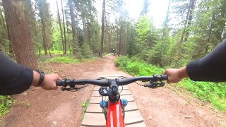 Womp Rat  Valemount Bike Park [upl. by Yadsnil]