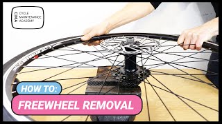 Freewheel Removal [upl. by Ielirol]