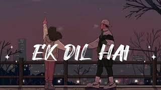 Ek Dil Hai SlowedReverb LoFi Hindi Song 🎧 lofisong [upl. by Yeloc]