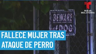 Mujer muere tras ataque de perro en Boston [upl. by Anoj]