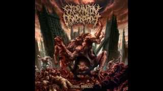 Extermination Dismemberment  Disemboweled Engorgement [upl. by Zzaj]