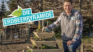 Vertikaler Garten Erdbeerpyramide selber bauen [upl. by Ravens377]