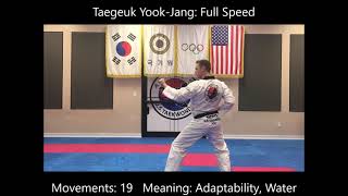 Taegeuk YookJang Form 6 WT Poomsae US Tae Kwon Do [upl. by Noyar534]