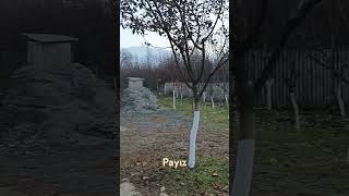 Payızın gəlişi elimizə payız gəlib [upl. by Obbard]