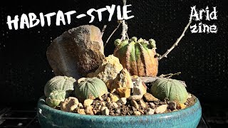 Habitatstyle planting where art meets plant cultivation [upl. by Sine504]