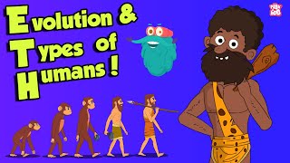 What Is Evolution amp types of HUMANS  Dr Binocs Show  Peekaboo Kidz [upl. by Janel]