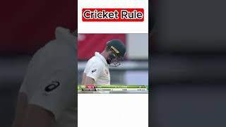 Cricket Rule  Cricket  cricket shortvideo shorts [upl. by Neyrb]