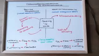 Domein C Terugkoppelingsmechanismen bij klimaatverandering [upl. by Akimyt]